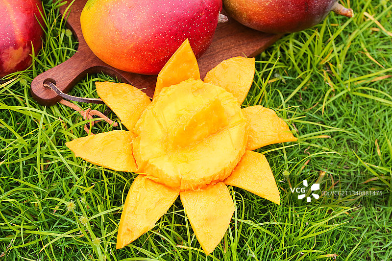 草地上摆放着爱文芒图片素材