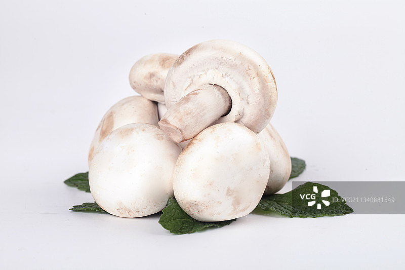 白底上摆放着白菇图片素材