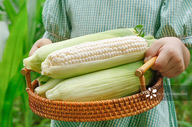 手里拿着一篮子水果白玉米图片素材