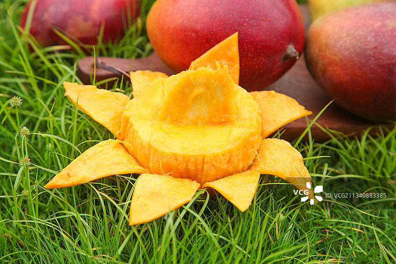 草地上摆放着爱文芒图片素材