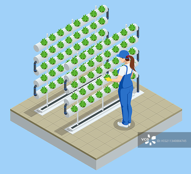 2.5D蔬菜水培系统图片素材