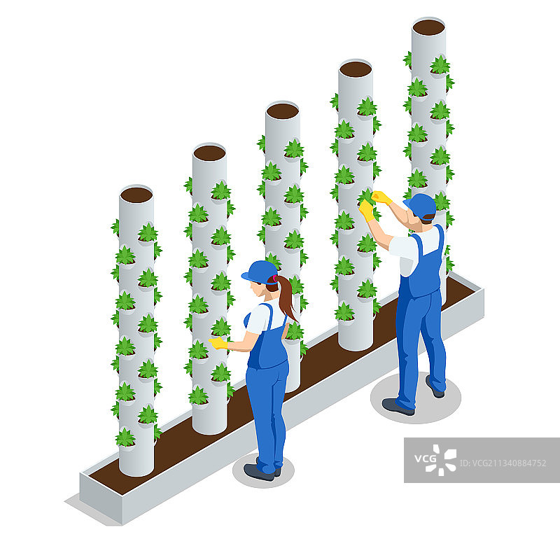 2.5D蔬菜水培系统图片素材