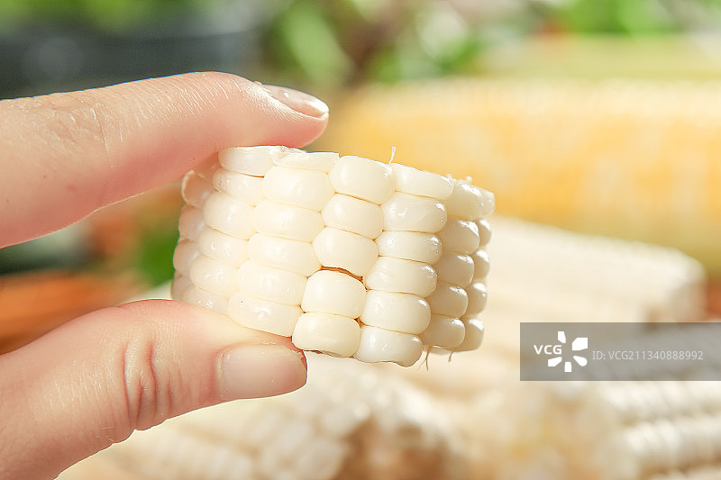 手里拿着白玉米图片素材