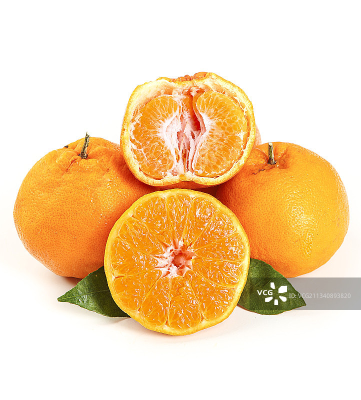 白底上的四川春见图片素材