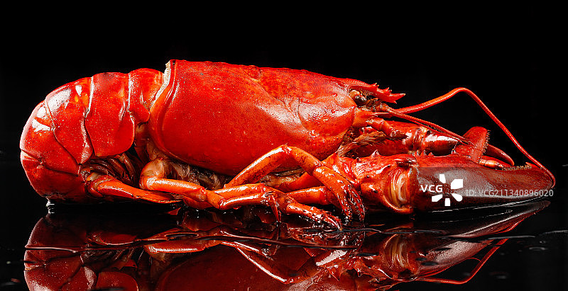 黑底上放着波士顿龙虾图片素材
