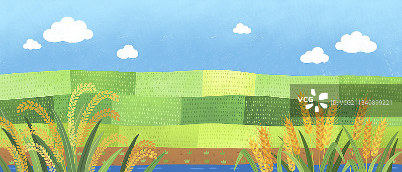 丰收时节，稻田与大麦图片素材