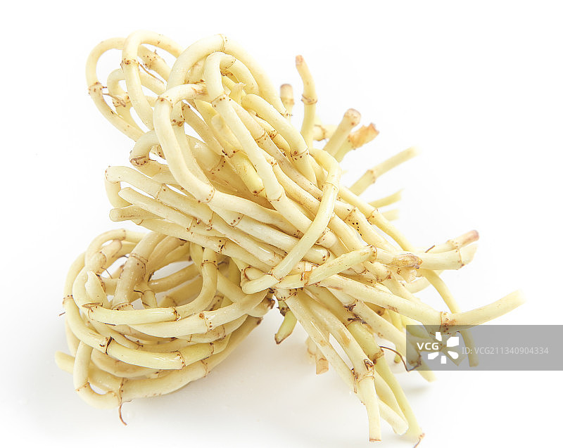 白底上放着折耳根图片素材