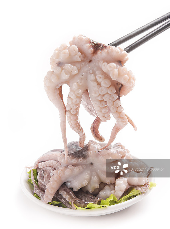 筷子上夹着八爪鱼图片素材