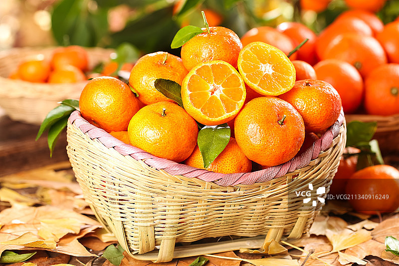篮子里装着广西砂糖橘图片素材