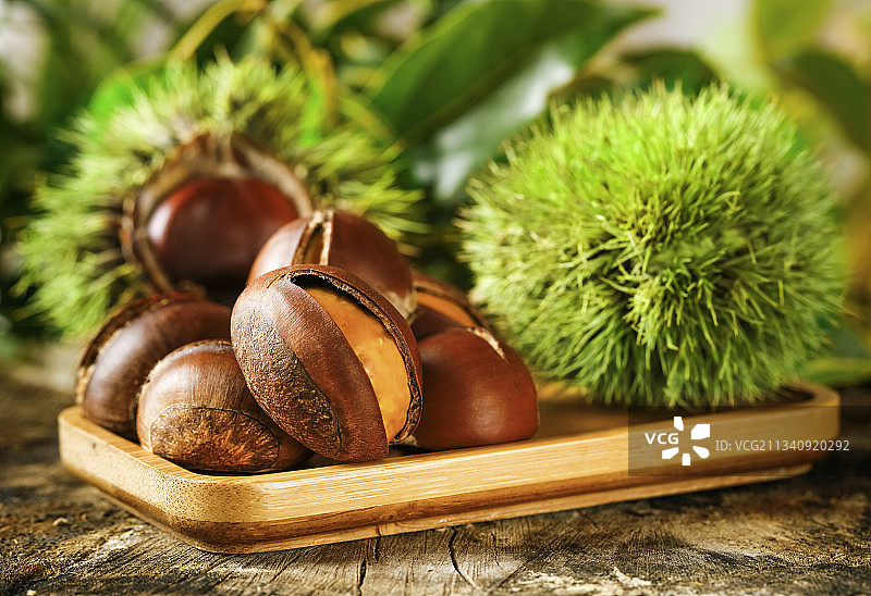 深底上的迁西板栗图片素材