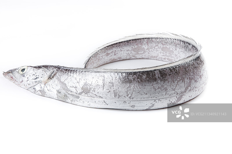 白底上放着带鱼图片素材