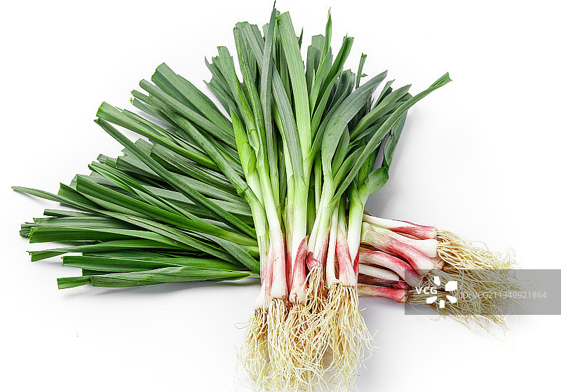 白底上的新鲜蒜苗图片素材