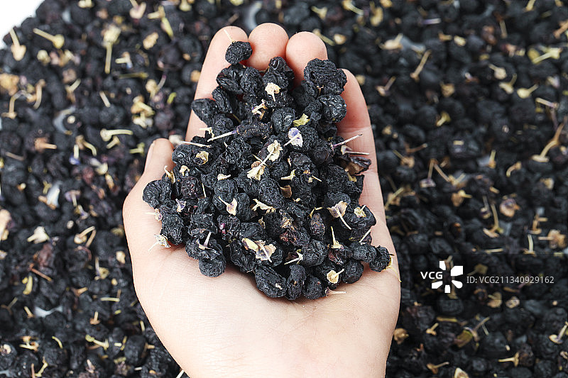 手里捧着一把黑枸杞图片素材