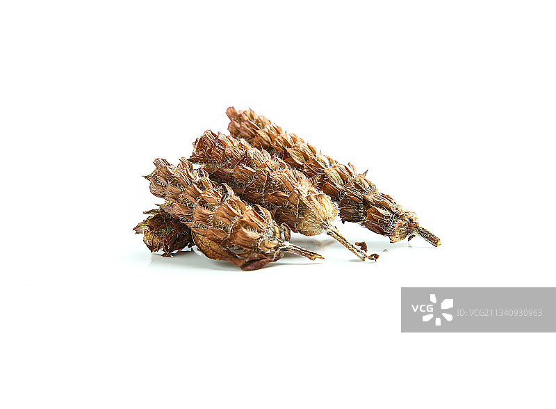 白底上放着夏枯草图片素材