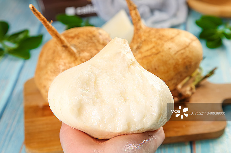 手里拿着广西白凉薯图片素材