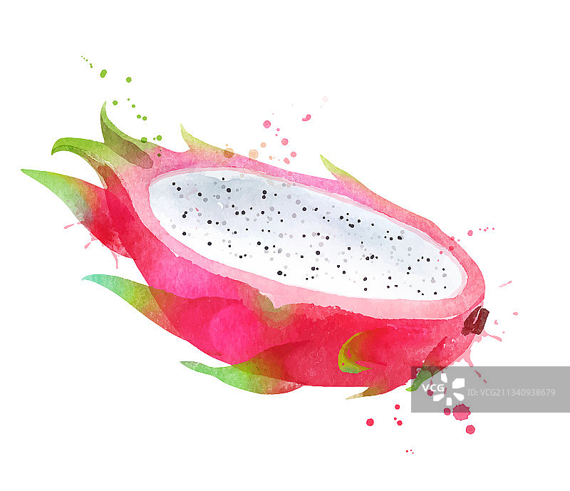 水彩火龙果图片素材