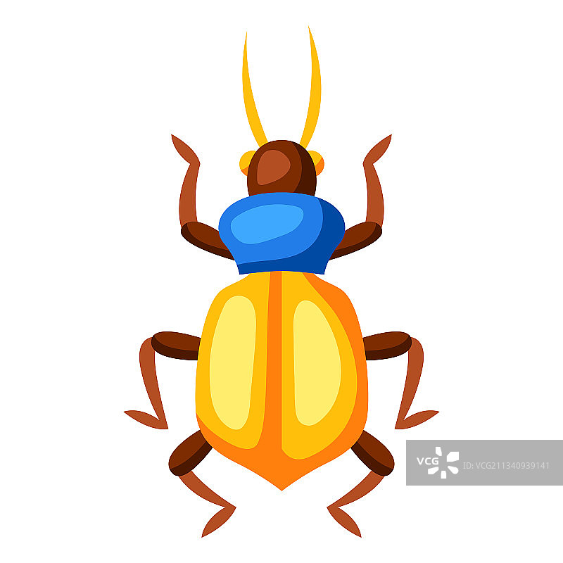 彩色甲壳虫图案图片素材