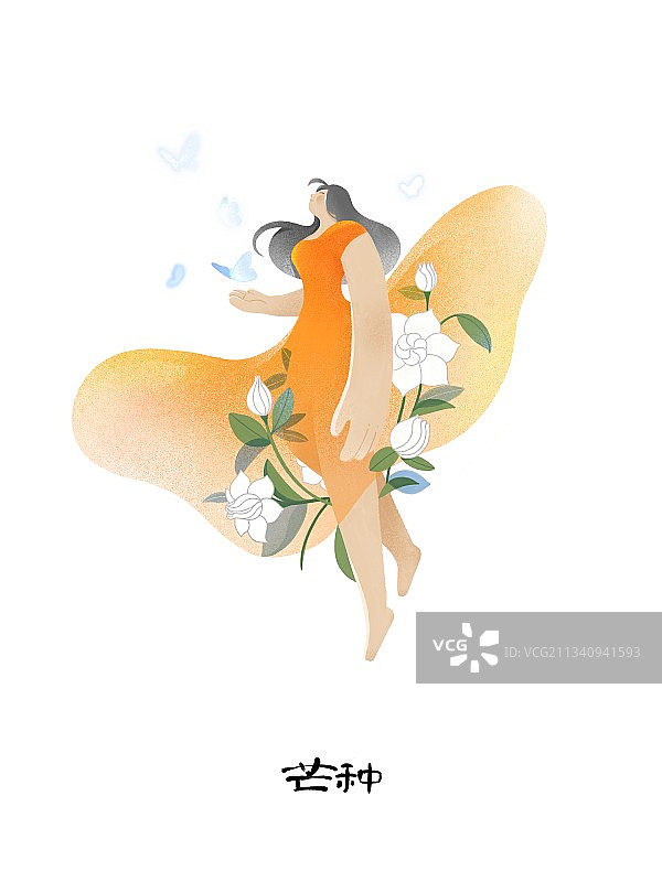 24节气芒种花卉插画图片素材