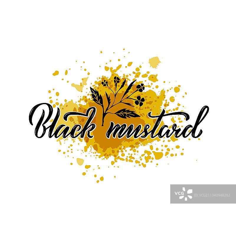 黑色芥末手写文字与泼墨图片素材
