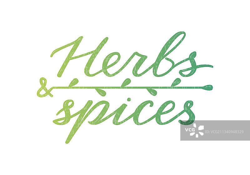 草药和香料绿色渐变文字图片素材
