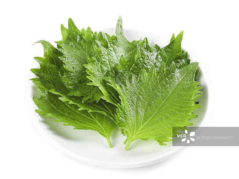 一盘紫苏叶放在白底上图片素材