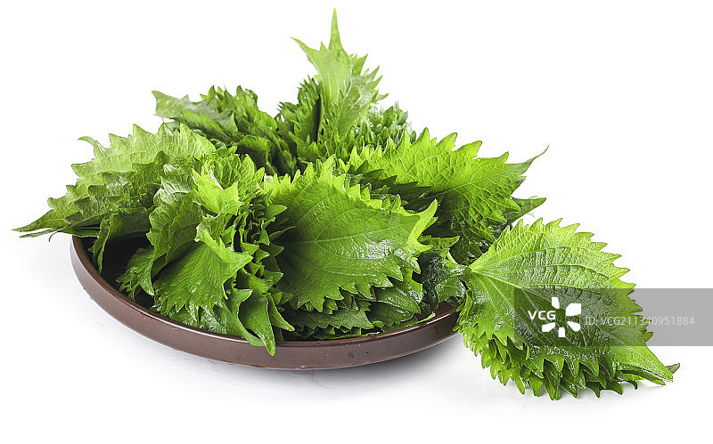 一盘紫苏叶放在白底上图片素材