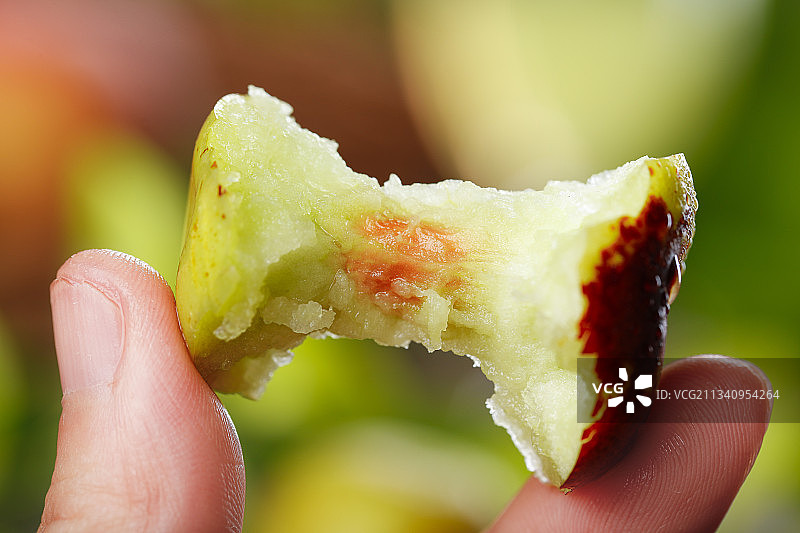 手里拿着大荔冬枣图片素材