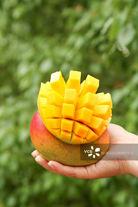 手里拿着爱文芒图片素材