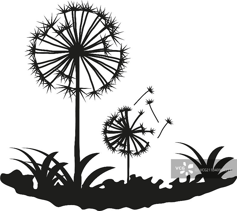 蒲公英草地剪影图片素材