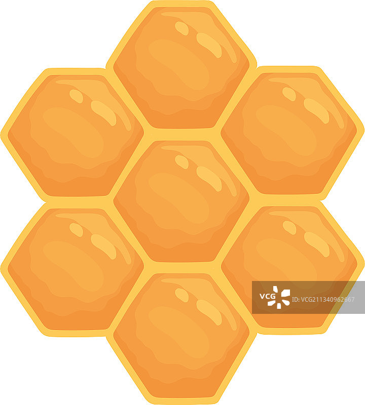 香甜的蜂窝图片素材