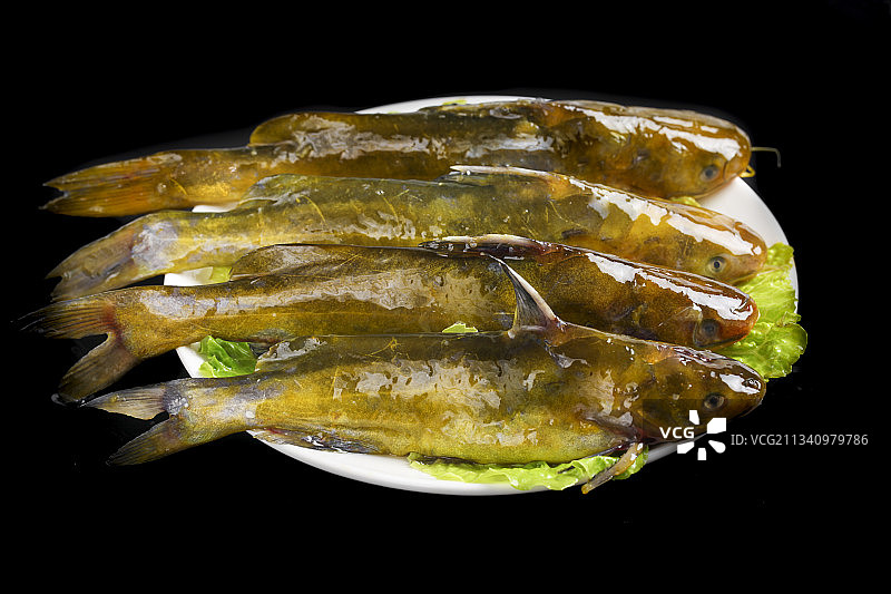 黑底上的黄骨鱼图片素材