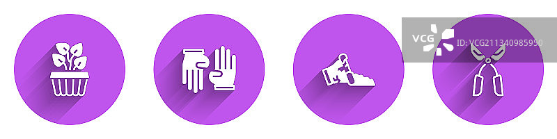 室内盆栽常春藤和橡胶手套图片素材