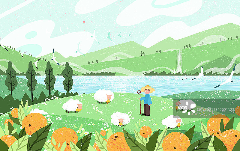 有机生活牧羊背景橙子水果自然横图片素材