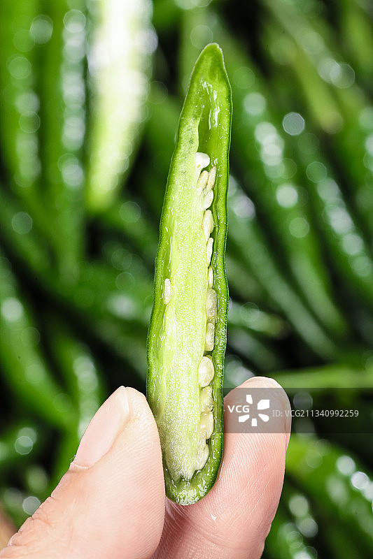 手拿切开的新鲜青辣椒图片素材