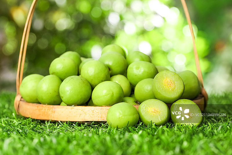 草地上放着一篮云南大理青梅图片素材