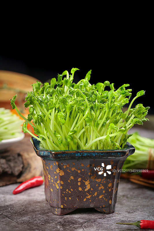 瓶子里装着芽菜图片素材