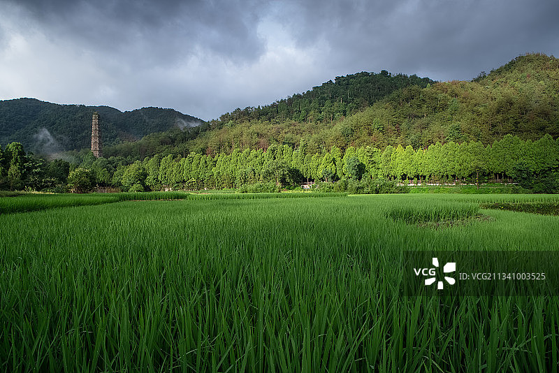 天台国清寺隋塔风光图片素材