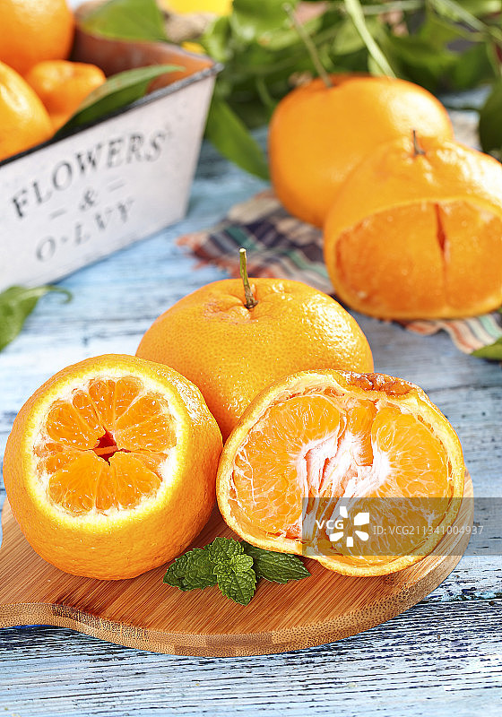 浅底上的春见耙耙柑图片素材