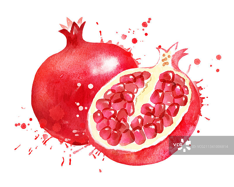 水彩石榴图片素材
