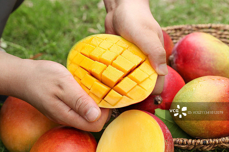 手里拿着切开的爱文芒图片素材