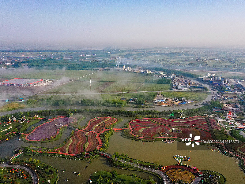 盐城 荷兰花海图片素材