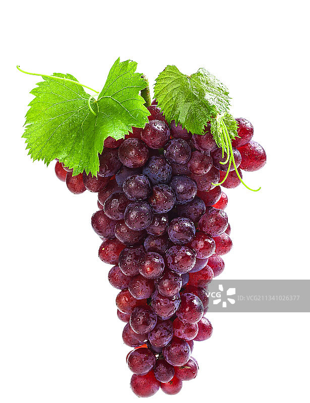 白底上的红提图片素材