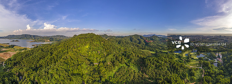 深圳大顶岭山林公园图片素材
