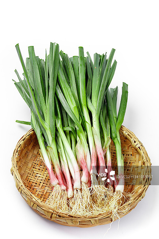 白底上的新鲜蒜苗图片素材