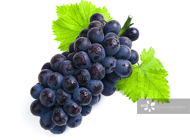 白底上的夏黑葡萄图片素材