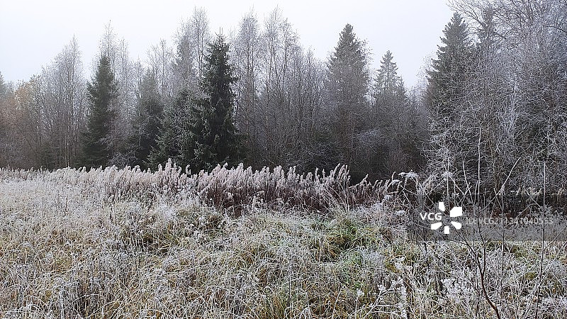 俄罗斯列宁格勒州基洛夫斯克区雪景图片素材