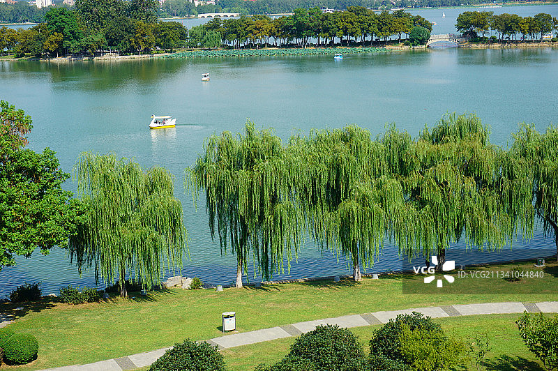 泛舟玄武湖图片素材