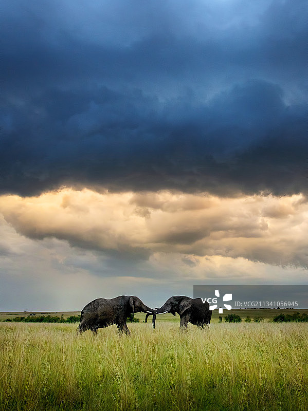美丽的牧场图片素材