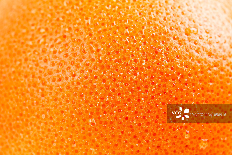 红心西柚的果皮图片素材