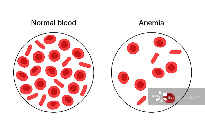 血液结构概念图片素材
